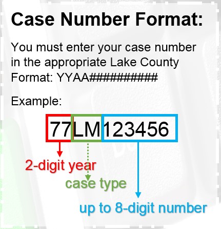 what is a case number example